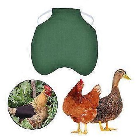 Lot de 5 tabliers de protection pour poules (taille petite à moyenne), avec porte-stylo et protège-ailes. Élastiques inclus. Couleur : vert. (1/5)