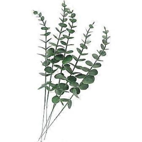 Lot de 10 feuilles d'eucalyptus artificielles au toucher réaliste - Branches de fleurs artificielles pour bouquet de mariée, décoration intérieure (gris-vert) (1/5)