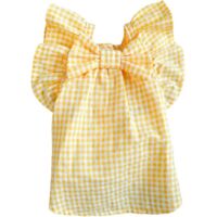 Vêtements pour animaux de compagnie printemps/été, robe mignonne pour chiot princesse et ours en peluche