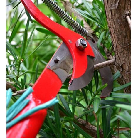 Teleskop-Obstpflücker, Teleskop-Gartenschere, Teleskop-Astschere, Hochentaster, Teleskop-Gartensäge, Gartenschere