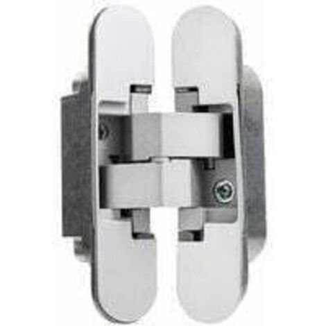 Cerniera invisibile per porte, Set di 2 cerniere invisibili per porte pesanti, capacità di carico 35 kg, apertura 180º, zamak