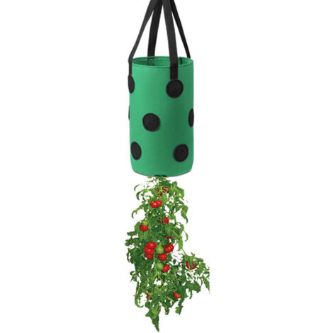 (3 galloni 20x35cm (13 fori) tinta nera e verde) 1 confezione di sacchi per la coltivazione di fragole, sacchi per la coltivazione sospesi con maniglie, fioriere per fragole da giardino
