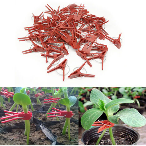 100 pezzi di clip per innesto di piante, clip per innesto in plastica, pratiche clip per piante da giardino, DUBUNS (1/5)