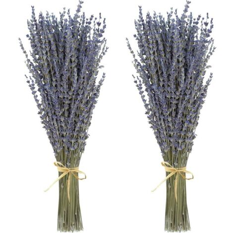 Mazzi di fiori di lavanda essiccati (oltre 200 steli, lunghi 38-43 cm) per decorazioni per la casa, artigianato e regali