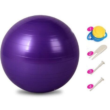Palla per la gravidanza, 65 cm, palla svizzera, palestra, pilates, gonfiatore incluso, attrezzatura fitness, ginnastica, accessori yoga (1/4)