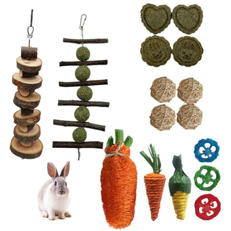 Ensemble de 16 jouets à mâcher pour lapins nains, jouet carotte pour petits animaux, Gu (1/5)