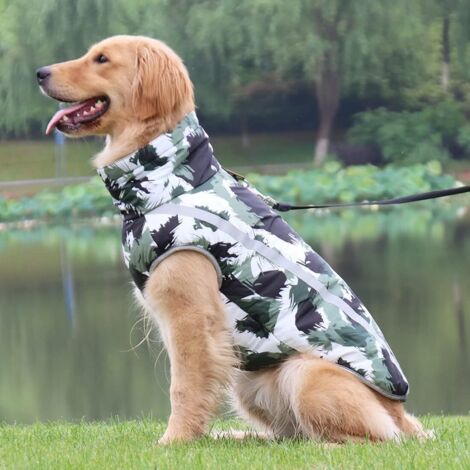Manteau pour chat, pull d'hiver chaud pour chiens (tailles petite, moyenne et grande) (1/5)
