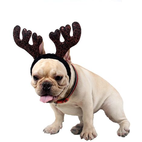 Déguisement de Noël pour petits chiens, déguisement de Noël avec bois de renne (1/5)