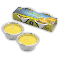 MINI TORCHE À LA CITRONNELLE EN ÉTAIN Ø 8,5x4h cm -