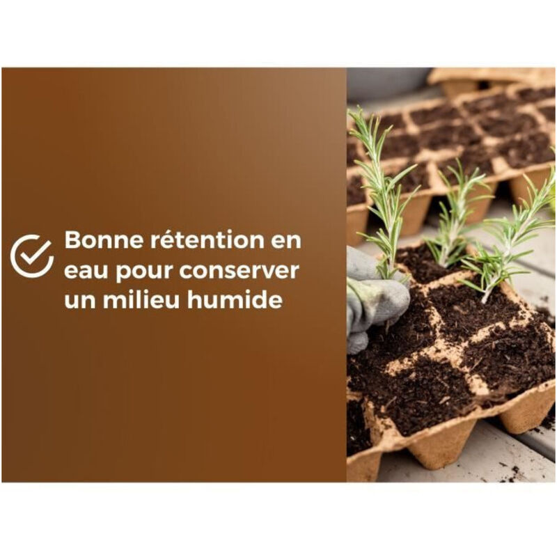 Substrat pentru cactus, fertilizat si ieftin. Pamant de flori cactus Substrat pentru cactus, fertilizat si ieftin. Pamant de flori cactus