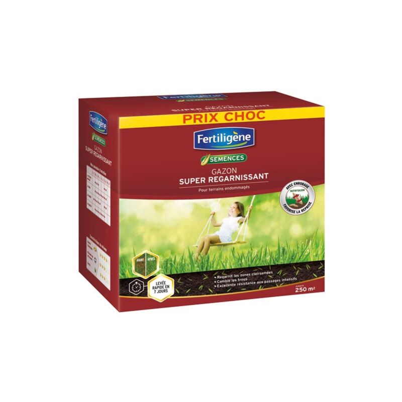 FERTILIGENE Prato Super Rigenerante 875g – Semi Con Concime Per Aree Danneggiate