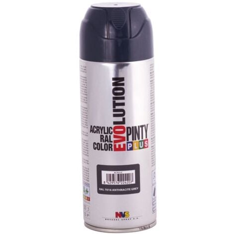 PINTY - Plus évolution bbe 400 ml gris anthracite mat 7016