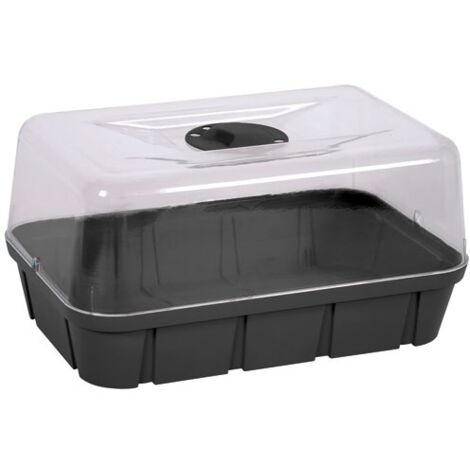 EDA – Mini serre gris anthracite 38x25,5x19 cm – Capacité 5,7 L – Pour semis et jeunes plants – Environnement contrôlé