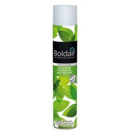 Désodorisant parfumant fraîcheur mentholée BOLDAIR 500ml (1/5)