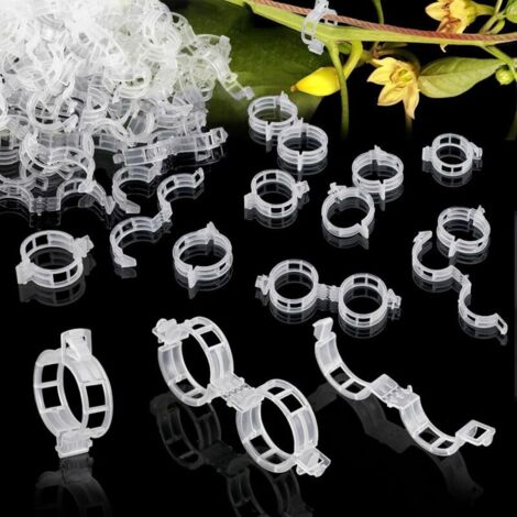 300 clip di supporto per pomodori, paletti per piante, clip da giardino per pomodori, clip per piante rampicanti, clip di supporto per ortaggi, clip per pomodori e viti (trasparenti)