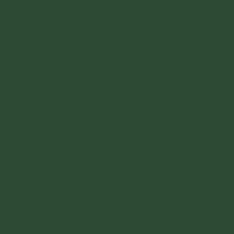 Peinture pour Fer Extérieur - Brillant  - 0,5L - Vert Basque RAL 6005 - Ripolin