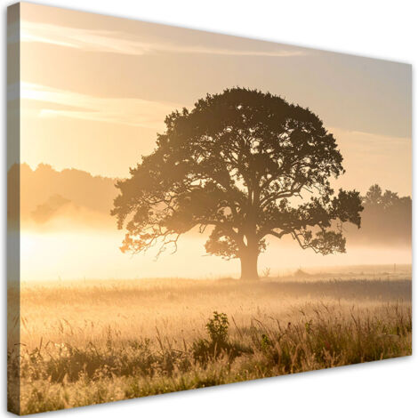 Stampe su Tela, Albero nella nebbia in un prato paesaggio natura, 30x20
