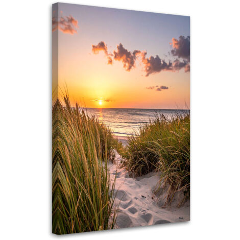 Quadro su tela, Spiaggia mare dune paesaggio marino, 80x120 (1/5)