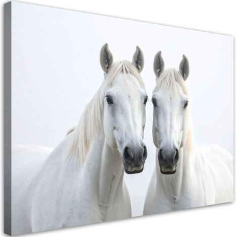 Quadro su tela, Due cavalli bianchi animali natura, 30x20 (1/5)