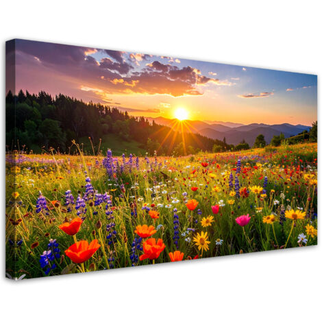 Quadro su tela, Fiori di campo su un prato natura, 80x40
