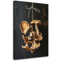 Quadro su tela, Funghi essiccati, 30x45