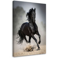 Quadro su tela, Cavallo nero al galoppo natura, 60x90