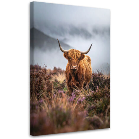 Impresión de Imagen, Vaca escocesa en la niebla vintage, 20x30 (1/5)