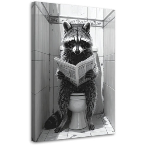 Impresión de Imagen, Mapache en el baño, 20x30 (1/5)