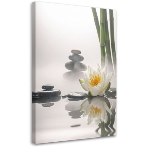 Impresión de Imagen, Piedras florales de loto plantas zen spa, 20x30 (1/5)
