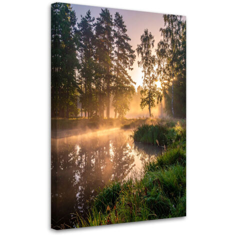 Impresión de Imagen, Lago bosque niebla paisaje, 20x30 (1/5)