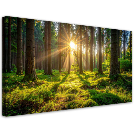 Impresión de Imagen, Bosque árboles amanecer, 80x40 (1/5)
