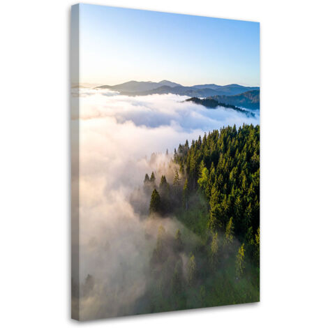 Impresión de Imagen, Paisaje bosque montañas niebla, 70x100 (1/5)