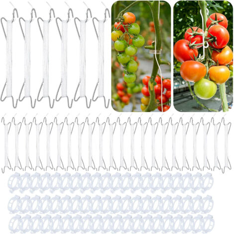120 Stück Tomatenpflanzenstützen mit J-Haken, Garten-Tomatensträuße, Gemüseclips, um zu verhindern, dass Tomaten eingeklemmt werden oder herunterfallen