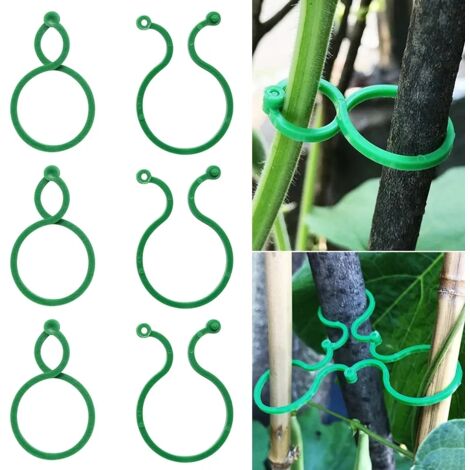 50pcs Garden Vine Strapping Clips Plant Grouped Buckle Holder Ring Tomato Garden Plant Support Tool Garden Decor Accessories (1/5)