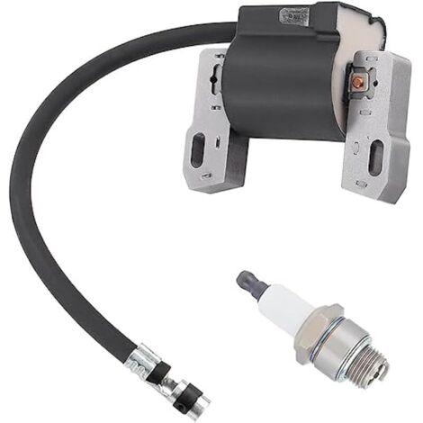 Module de Bobine d'allumage pour Briggs & Stratton 796964 695711 555530 557040 590454 802574 492416 493237 491760 692605, 12A100 121A12 110432 110492 FT50 JS1150 CS3310 Moteur de série (1/5)