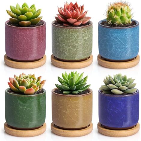 Pot De Fleur Interieur en Céramique 6,3 Cm pour Plantes Grasses, Pot De Fleur Décoratif Effet Glace, Lot De 6 Couleurs avec Soucoupes, Cache Pot Plante Interieur (sans Plantes) (1/5)