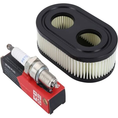 Luftfilter und Zündkerze für Rasenmäher der Briggs & Stratton Viking Serien 550E, 550EX, 675 Eco-Plus und 575EX Motoren (1/5)