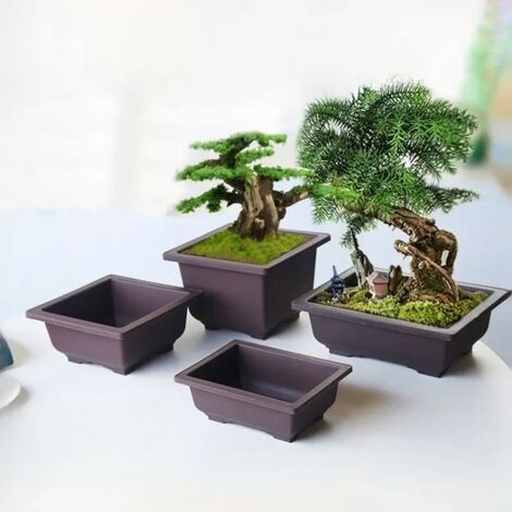 Pot de culture rectangulaire en plastique avec plateau de drainage (carré en L, comme sur la photo) pour bonsaïs et plantes succulentes. Idéal pour la culture de bonsaïs et autres végétaux. Décoration (1/5)