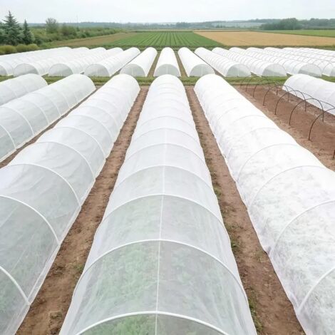 (160 cm x 1000 cm, 50 g) Paillis de jardin en tissu non tissé épais 160 cm × 1000 cm. Protection contre le froid pour les légumes et les arbres fruitiers, antigel, isolant (1/5)