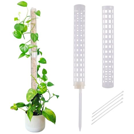 (Type 2) Tuteur en mousse de sphaigne pour plantes grimpantes - Support de croissance retenant l'eau et riche en engrais (1/5)