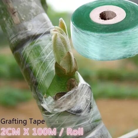 (1 rouleau, 2 cm) Film adhésif PE extensible pour greffage, idéal pour les arbres, les semis, les plants de tomates et autres plantes grimpantes. Accessoires de greffage pour le jardin. (1/5)