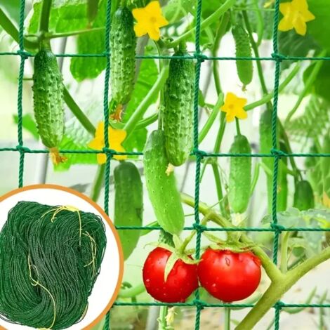 (1,8 x 1,8 m) Treillis pour plantes, pergola, filet de culture en polyester résistant, filet de treillis de jardin à mailles carrées pour plantes grimpantes, légumes, (1/5)
