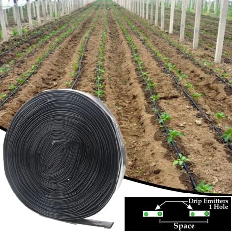Tuyau d'irrigation goutte à goutte à 2 trous (Espace 200-50 m) de 50 m/rouleau, diamètre 16 mm, pour jardin, agriculture et économies d'eau.