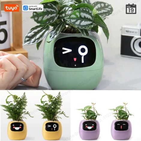 (Jaune) Tuya Gen1 Ivy Smart Potager : plus de 49 expressions amusantes, 7 capteurs intelligents et des puces d’IA pour un jardinage facile et ludique. (1/5)