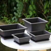(Square-M avec plateau, comme sur la photo) Pots à bonsaï rectangulaires en plastique pour la culture de plantes succulentes, jardinière de jardin, balcon ou terrasse.