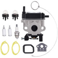 Adapté à 308480001 WYC-7 carburateur Toro 51946 51947 51948 51952 tondeuse à gazon
