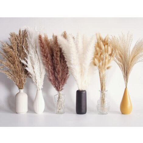 Pr Ersandy – Bouquet d'herbes de pampa séchées 110 pièces – Fleurs de queues de lapin, herbes brunes et blanches – Décoration boho pour mariage et maison - 110pc (1/5)