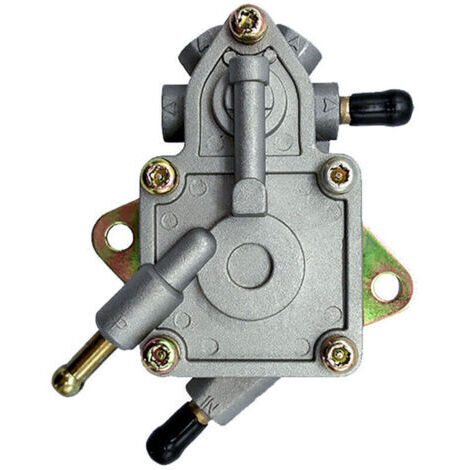 Pair Pompe à Essence Moto Compatible avec Buyang Feishen D300 H300 G300 300cc JCL Linhai 260cc 260 Manco Talon ATV Quad (1/4)