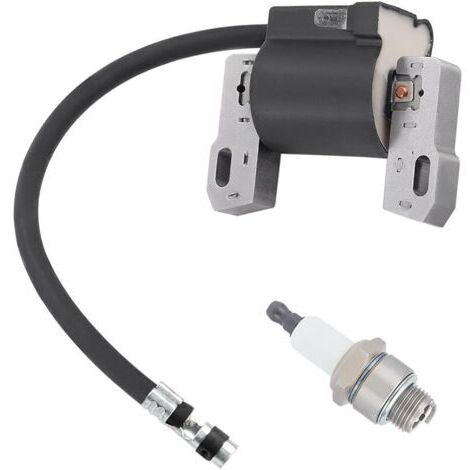 Pair Module de Bobine d'allumage pour Briggs & Stratton 796964 695711 555530 557040 590454 802574 492416 493237 491760 692605, 12A100 121A12 110432 110492 FT50 JS1150 CS3310 Moteur de série (1/5)