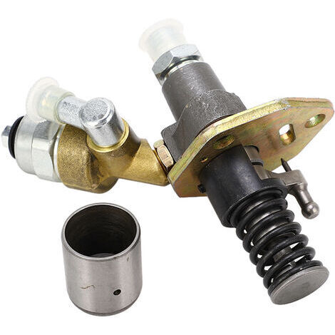 Pair - Pompe d'injection de carburant 186FA L100N – Monocylindre diesel 12V – Métal et aluminium – Remplacement pour groupes électrogènes (1/5)